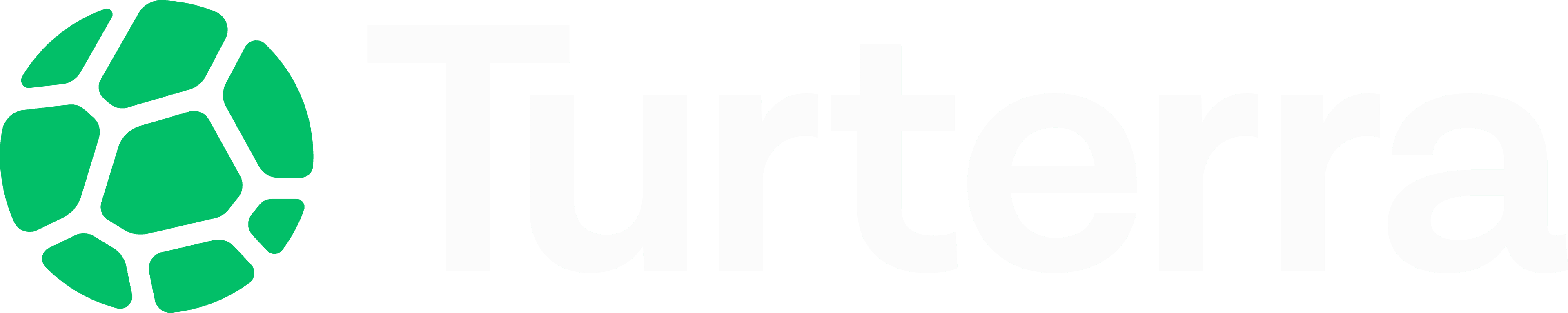 Turterra Logo